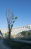 Туры в отель White Swan Hotel (Taizhou International Conference Center)