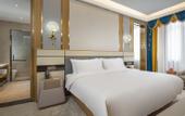 Туры в отель XI An Madison Hotel Xi'an Wildlife Park
