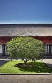 Туры в отель XI An Madison Hotel Xi'an Wildlife Park