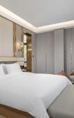 Туры в отель XI An Madison Hotel Xi'an Wildlife Park