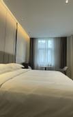 Туры в отель Greentree Eastern Hotel Shenzhen Futian Huaqiang North Branch