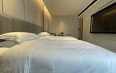 Туры в отель Greentree Eastern Hotel Shenzhen Futian Huaqiang North Branch
