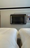 Туры в отель Greentree Eastern Hotel Shenzhen Futian Huaqiang North Branch