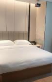 Туры в отель Greentree Eastern Hotel Shenzhen Futian Huaqiang North Branch