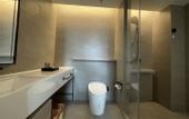 Туры в отель Greentree Eastern Hotel Shenzhen Futian Huaqiang North Branch