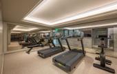 Туры в отель Mercure Lujiazui  Shanghai