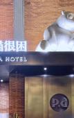 Туры в отель P.d PANDA HOTEL
