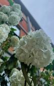 Туры в отель P.d PANDA HOTEL