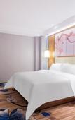 Туры в отель Yizhi Hotel Huizhou Boluo Yuanzhou (Government Complex Branch)