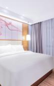 Туры в отель Yizhi Hotel Huizhou Boluo Yuanzhou (Government Complex Branch)