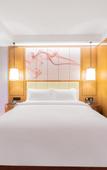 Туры в отель Yizhi Hotel Huizhou Boluo Yuanzhou (Government Complex Branch)