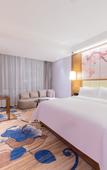 Туры в отель Yizhi Hotel Huizhou Boluo Yuanzhou (Government Complex Branch)