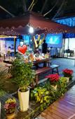 Туры в отель Mingzhu Theme Hostel
