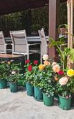 Туры в отель Mingzhu Theme Hostel