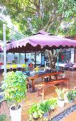 Туры в отель Mingzhu Theme Hostel