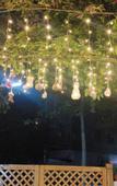 Туры в отель Mingzhu Theme Hostel