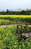 Туры в отель Mingzhu Theme Hostel
