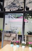 Туры в отель Mingzhu Theme Hostel