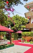 Туры в отель Mingzhu Theme Hostel