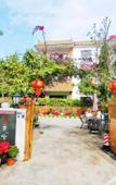Туры в отель Mingzhu Theme Hostel