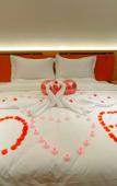 Туры в отель SEGA HOTEL (Lanzhou Xigu Jincheng Center)