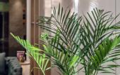 Туры в отель Elong Hotel