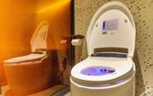Туры в отель Chonpines Hotel (Beijing Tongzhou Orchard Universal Resort)