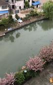 Туры в отель Peninsula Holiday Hotel (Changshu World Trade Center)
