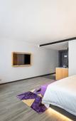 Туры в отель Yiyi Star Hotel (Xi'an Yi International Convention and Exhibition Center Xianghuwan Subway Station)