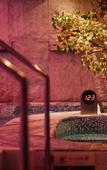 Туры в отель Shishi Carnival Hotel