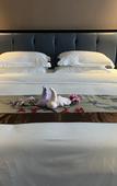 Туры в отель Shishi Carnival Hotel