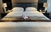 Туры в отель Shishi Carnival Hotel