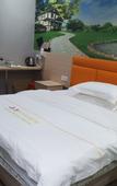 Туры в отель Jinyang Fashion Hotel (Shenzhen Guyi Subway Station Branch)