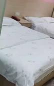 Туры в отель Jinyang Fashion Hotel (Shenzhen Guyi Subway Station Branch)
