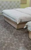 Туры в отель Jinyang Fashion Hotel (Shenzhen Guyi Subway Station Branch)