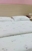 Туры в отель Jinyang Fashion Hotel (Shenzhen Guyi Subway Station Branch)