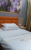 Туры в отель Jinyang Fashion Hotel (Shenzhen Guyi Subway Station Branch)