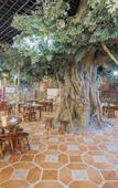 Туры в отель Cloth Book Collection Hotel (Xiamen North Railway Station Old Yard Scenic Area)