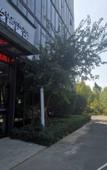Туры в отель Tuke China Light Residence Hotel (Zhengzhou Jingkai International Logistics Park Branch)