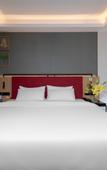 Туры в отель Campanile Hotel (Shenzhen Guanlan Golf Store)