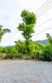Туры в отель Floral Lux Hotel· Ningbo Heyuan Zhiye Hotel (Xikou Scenic Area)