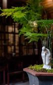 Туры в отель Floral Lux Hotel· Ningbo Heyuan Zhiye Hotel (Xikou Scenic Area)