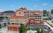 Туры в отель WERNER HOTELl (Ningdu People's Hospital)