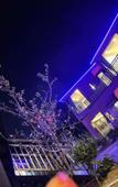 Туры в отель Xingfuli Hotel (Tianfu International Airport Branch)