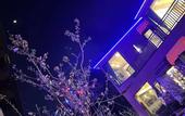 Туры в отель Xingfuli Hotel (Tianfu International Airport Branch)