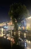 Туры в отель SAN YIN HOTEL