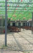 Туры в отель Rezen Retreat(Shanghai Sanjia Xintiandi Tourism Resort)