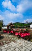 Туры в отель Rezen Retreat(Shanghai Sanjia Xintiandi Tourism Resort)