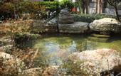 Туры в отель Floral Lux Hotel Hengdian Xindi