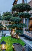 Туры в отель Floral Lux Hotel · Wuyi Mountain Ruyi Garden hotel